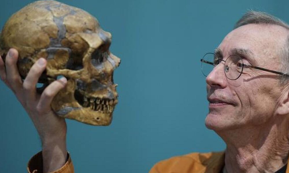 Neanderthals' extinction linked to social isolation, not climate change, new study shows