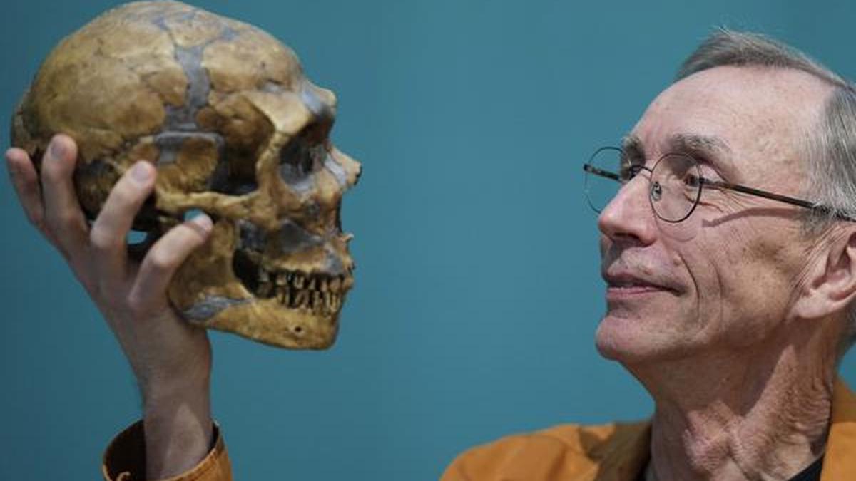 Neanderthals' extinction linked to social isolation, not climate change, new study shows