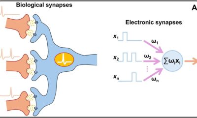 New brain-inspired ‘memristors’ promise to cut AI energy use