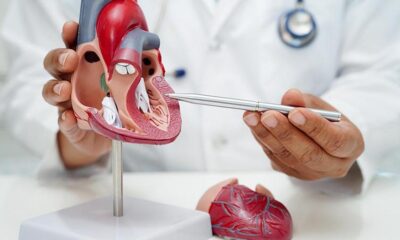 New molecular pathways contributing to cardiovascular disease in Indians found