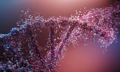 Peripheral neuropathy: why only some mutations cause disease