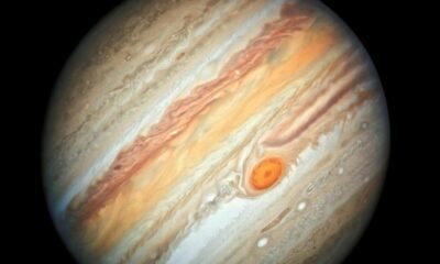 The discoverers of radio emissions from Jupiter