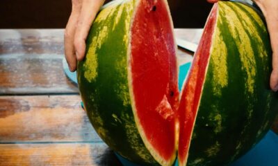 The green and crimson chemistry of the watermelon