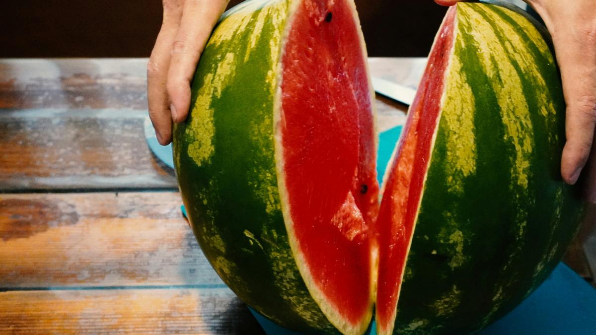 The green and crimson chemistry of the watermelon