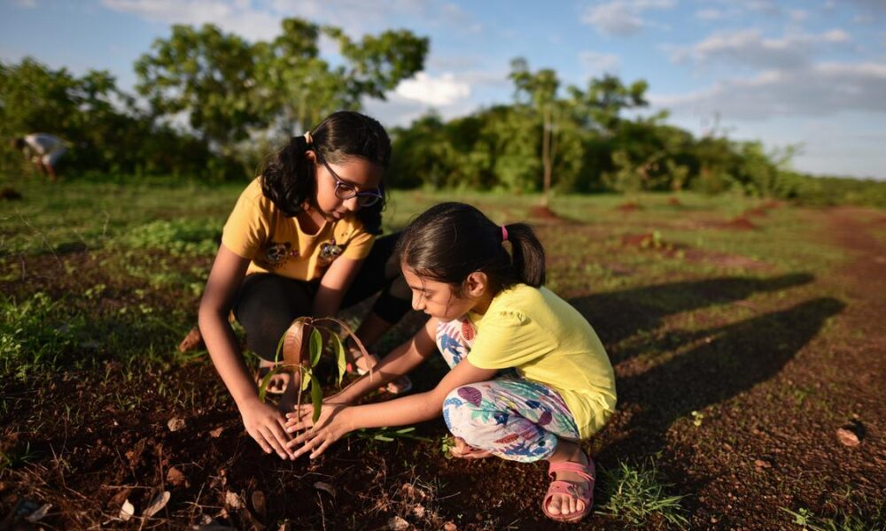 Why climate education should be key curriculum