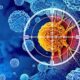 Cancer immunotherapy may reshape brain’s barrier to metastasis