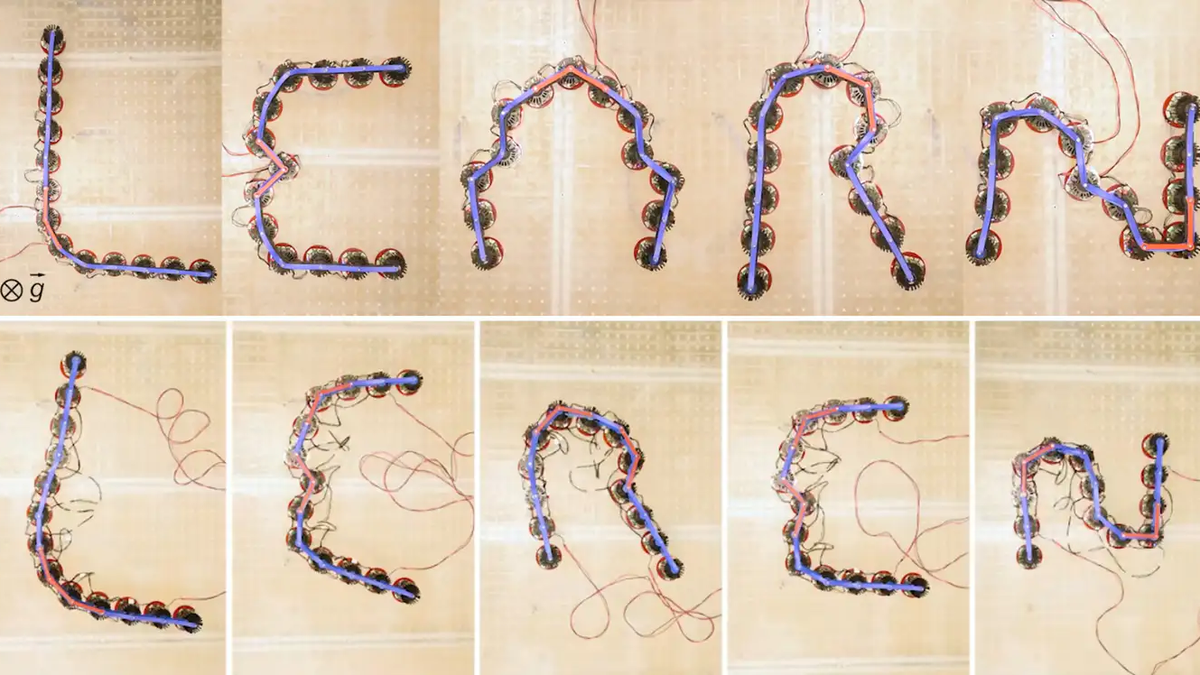 Researchers build synthetic materials that ‘learn’ to change shape