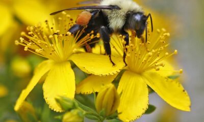 Science Snapshots: May 10, 2026