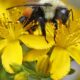 Science Snapshots: May 10, 2026